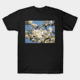 Blossoming T-Shirt